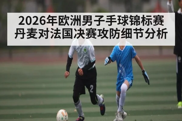 2026年欧洲男子手球锦标赛丹麦对法国决赛攻防细节分析（kaiyun）